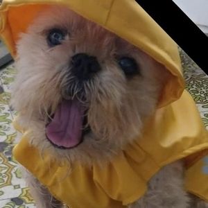 Meet your Posher, Alice